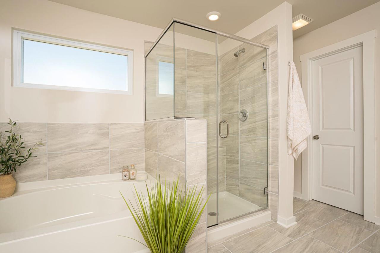 Shower Door Examples