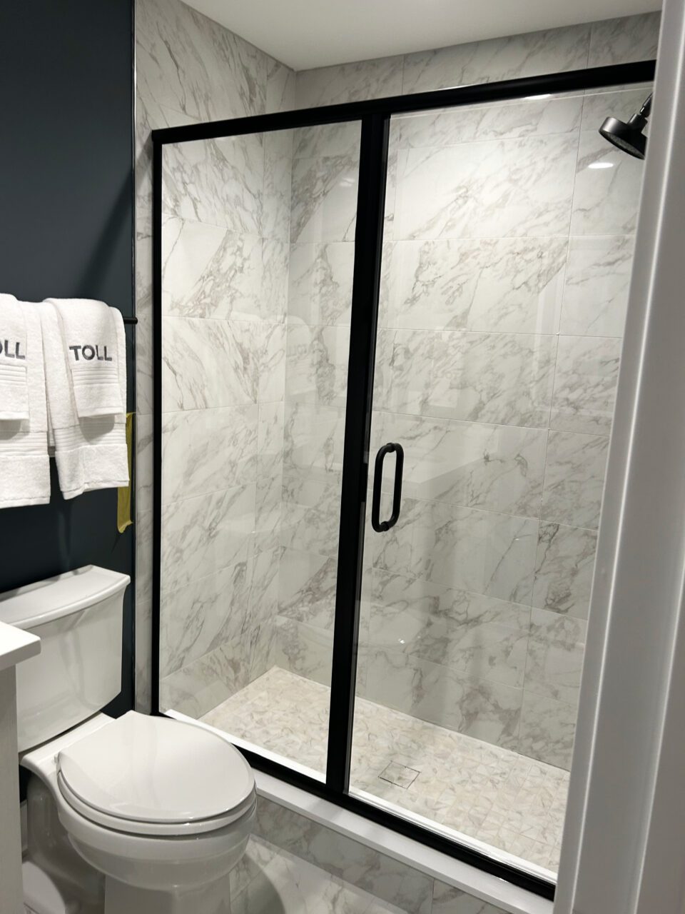 Inline 180 - Glass Semi-Frameless Swing Shower Door - Dark Anodized - Wall Mount